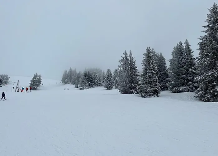 Chamrousse Appart 8 Personnes Au Pied Des Pistes
