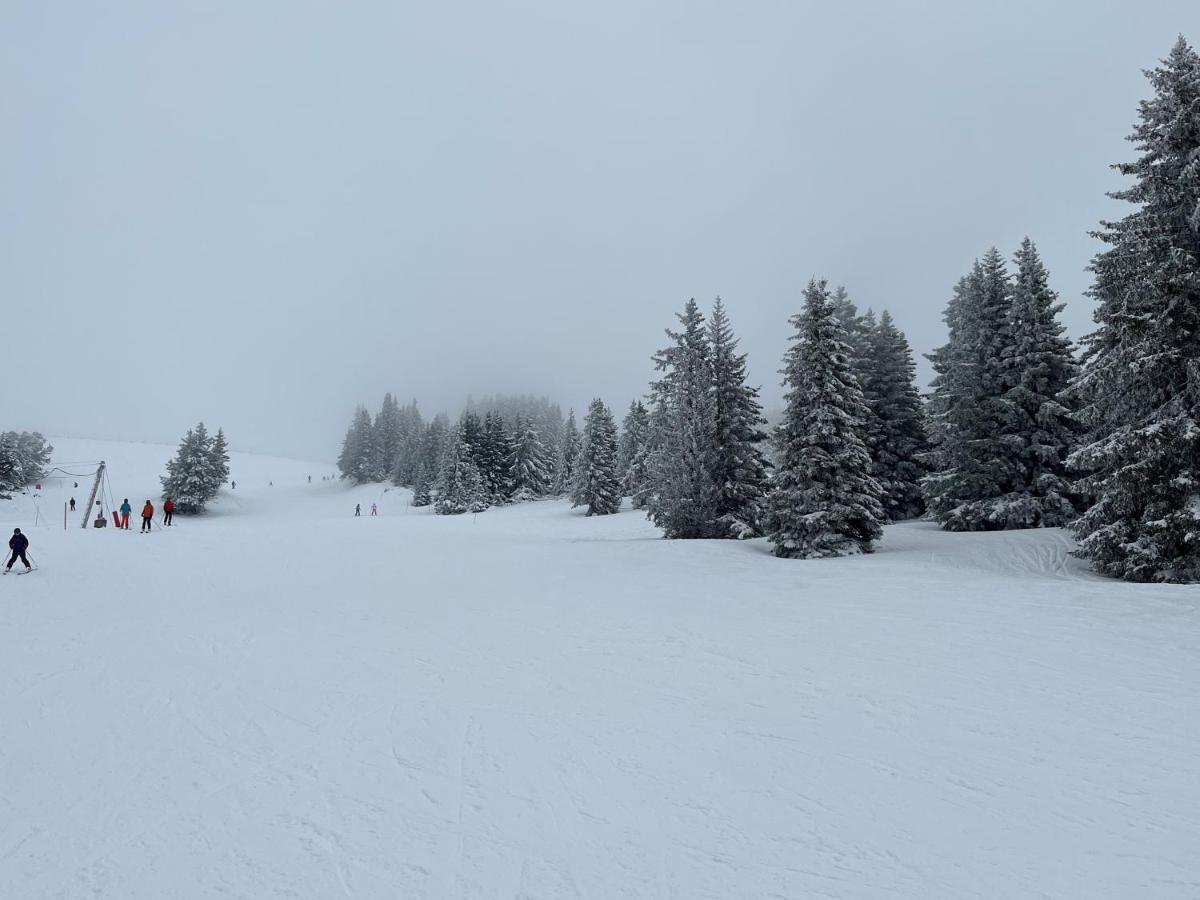 8 Personnes Au Pied Des Pistes