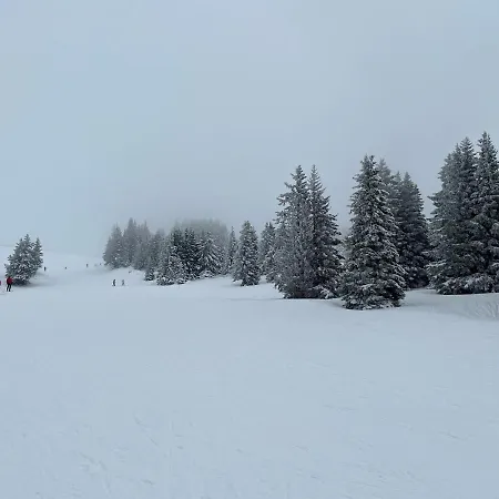 Chamrousse Appart 8 Personnes Au Pied Des Pistes Exterior foto
